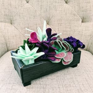Felt succulent garden